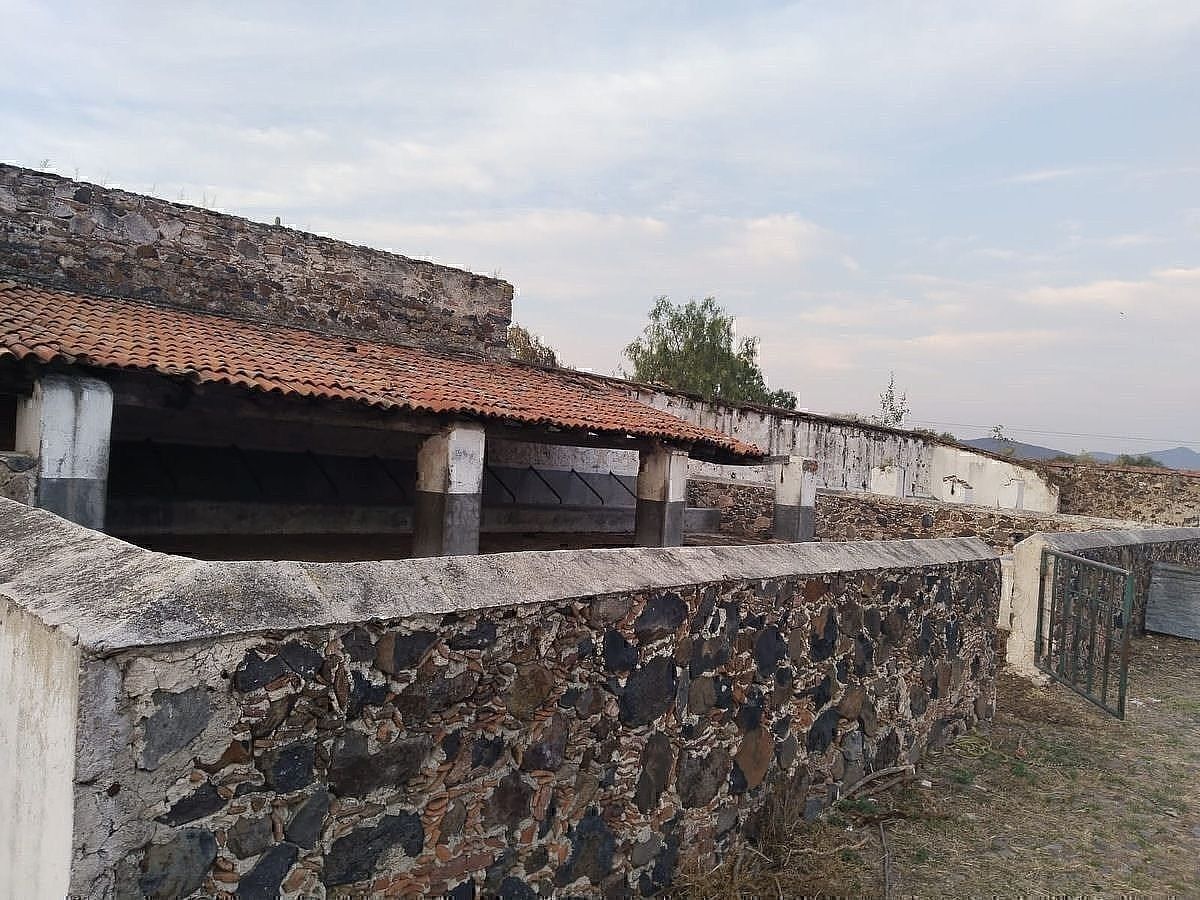 Ranch in Guadalupe, Huichapan, photo 8 of 13