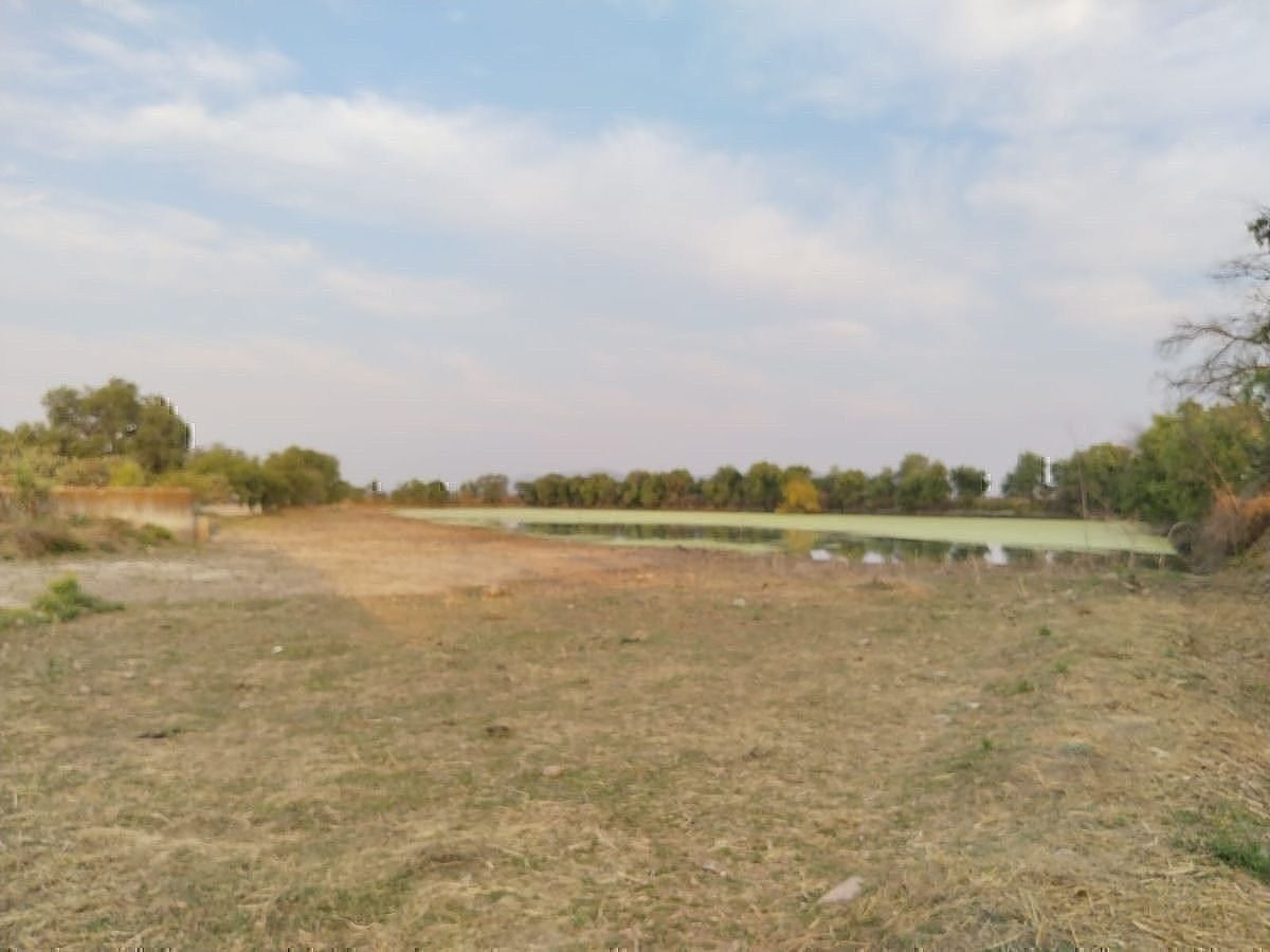 Ranch in Guadalupe, Huichapan, photo 9 of 13