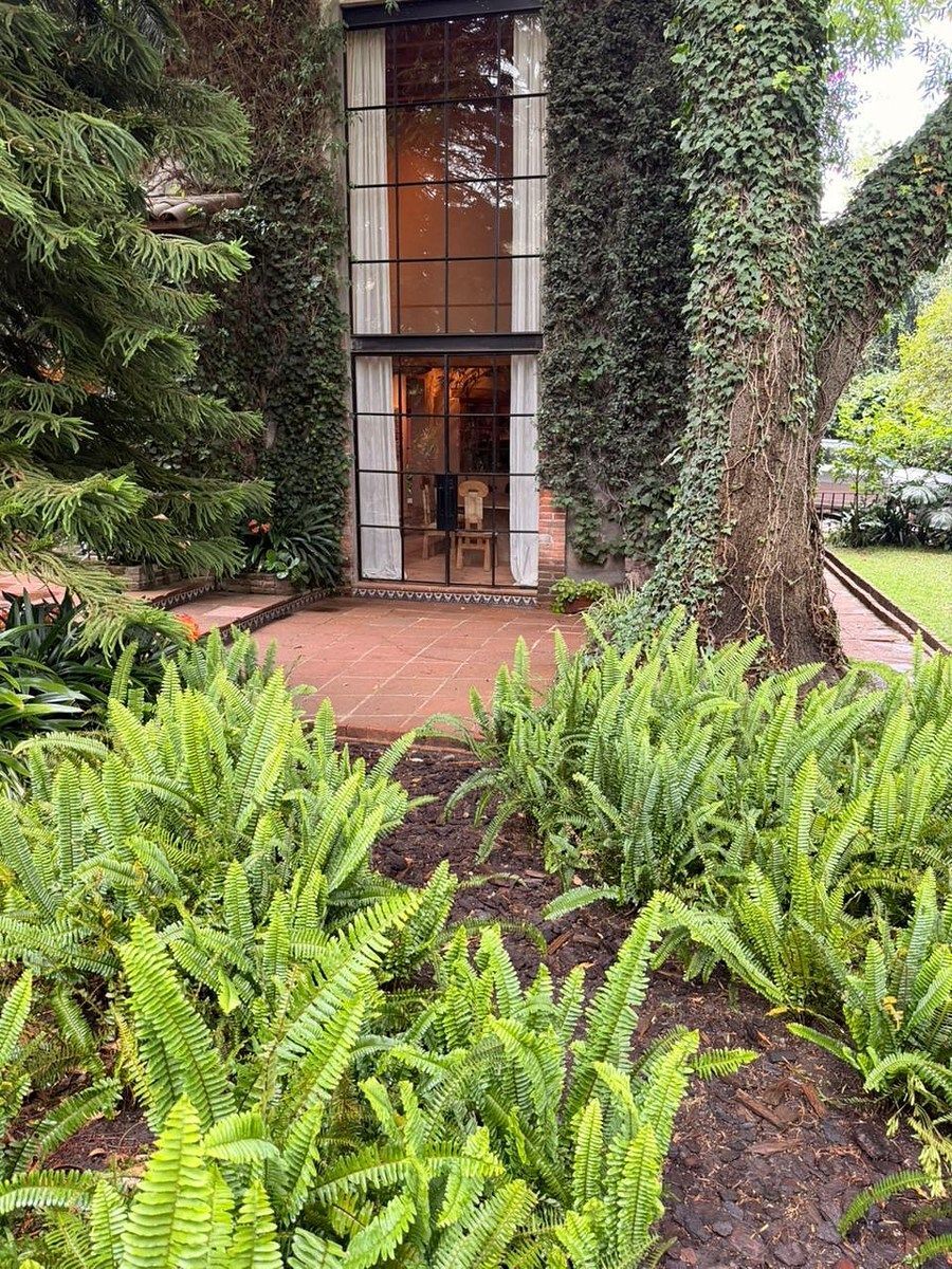 Casa en condominio en San Jerónimo Lídice, La Magdalena Contreras, foto 49 de 50
