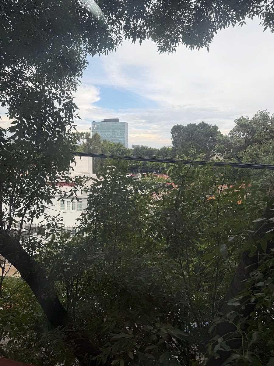 Oficina en Del Valle Sur, Benito Juárez, foto 19 de 19