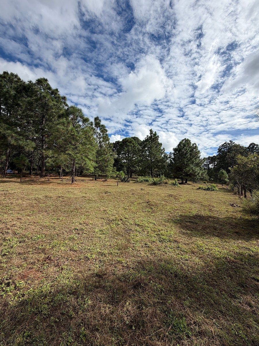 Lote em Los Espinos, Tapalpa, foto 3 de 18