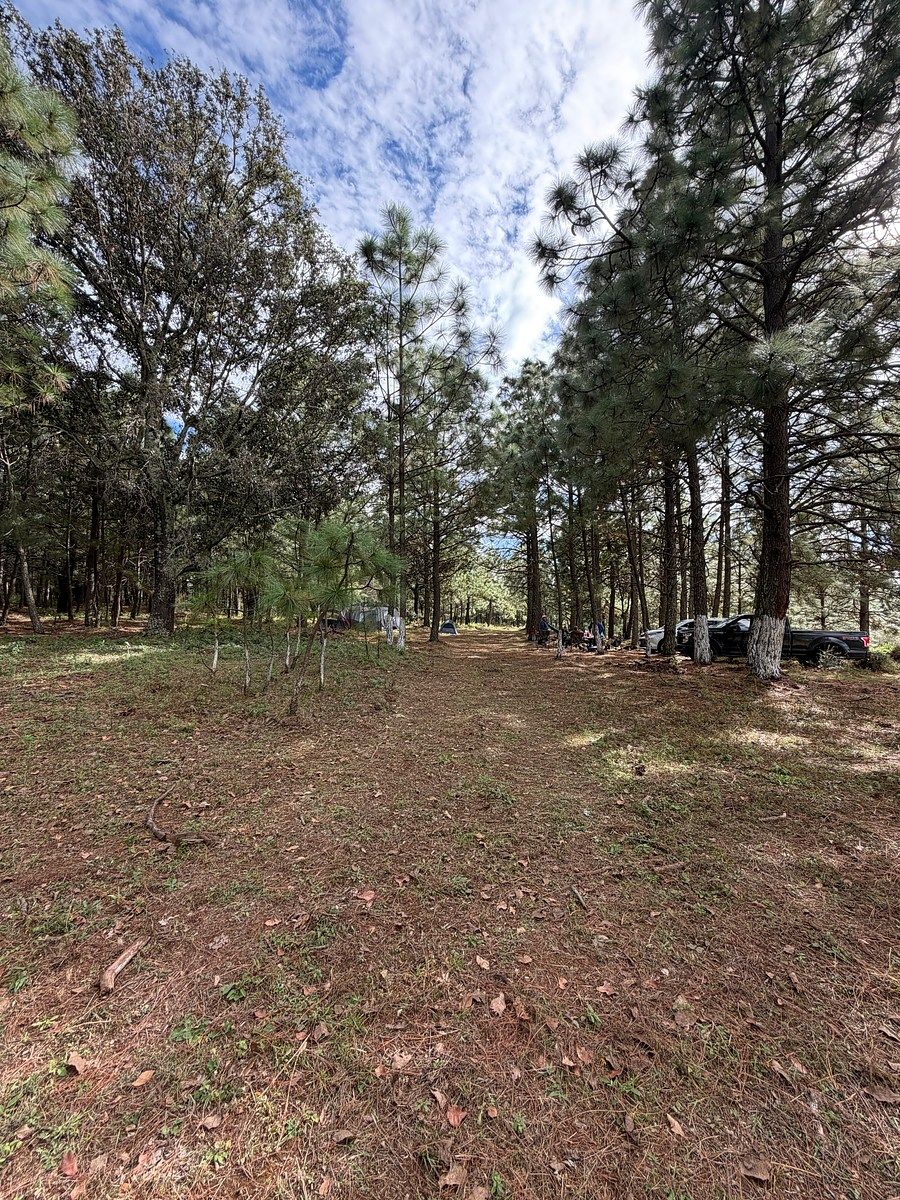 Lote em Los Espinos, Tapalpa, foto 2 de 18