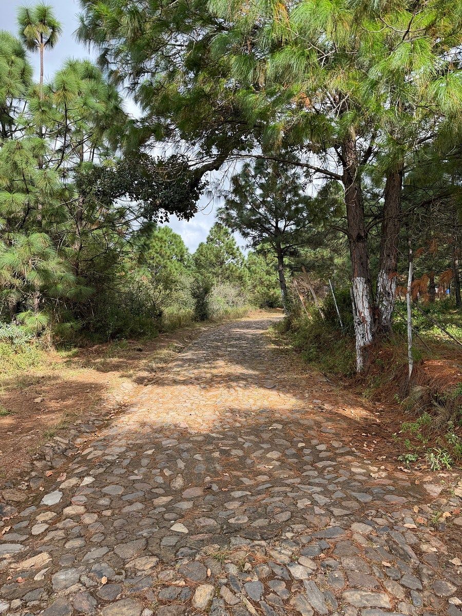 Camino empedrado, foto 4 de 18