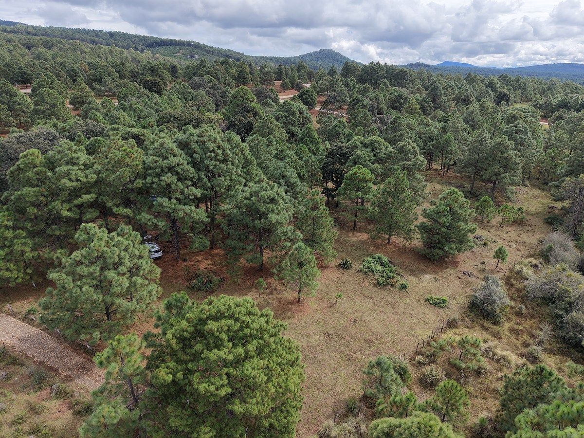 Lote em Los Espinos, Tapalpa, foto 8 de 18