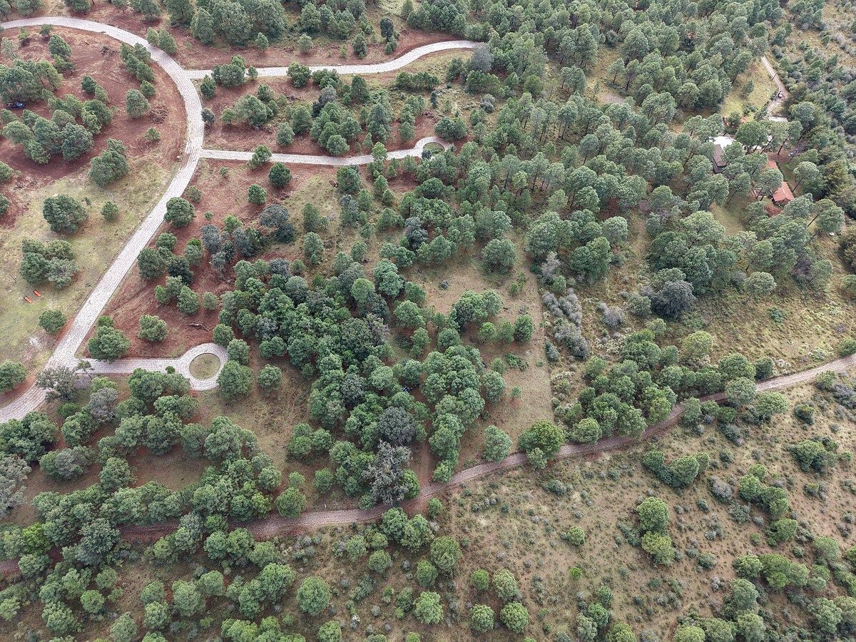 Lote em Los Espinos, Tapalpa, foto 9 de 18