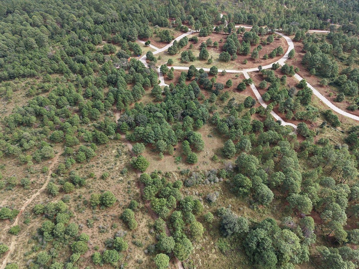 Lote em Los Espinos, Tapalpa, foto 10 de 18