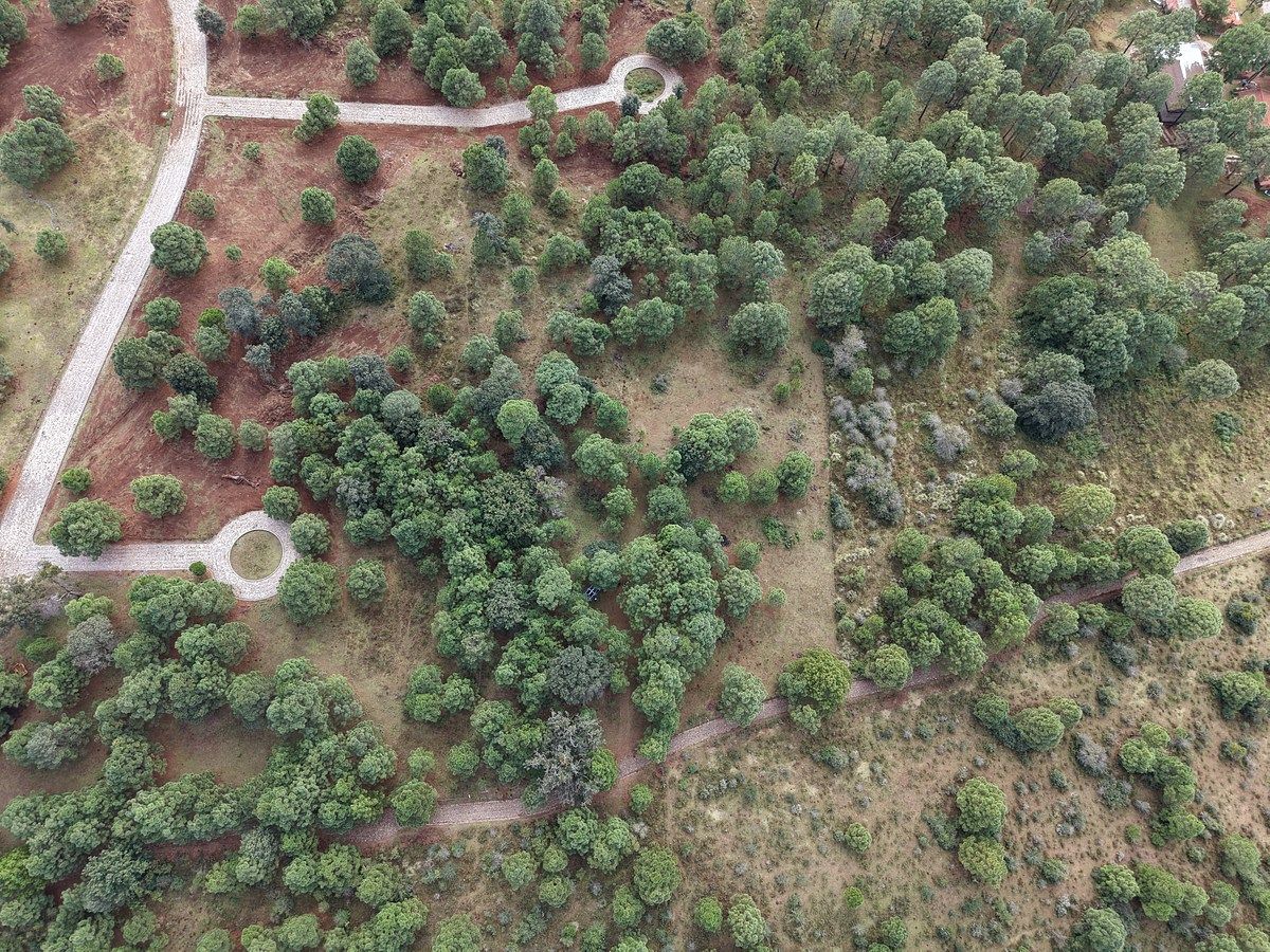 Lote em Los Espinos, Tapalpa, foto 11 de 18