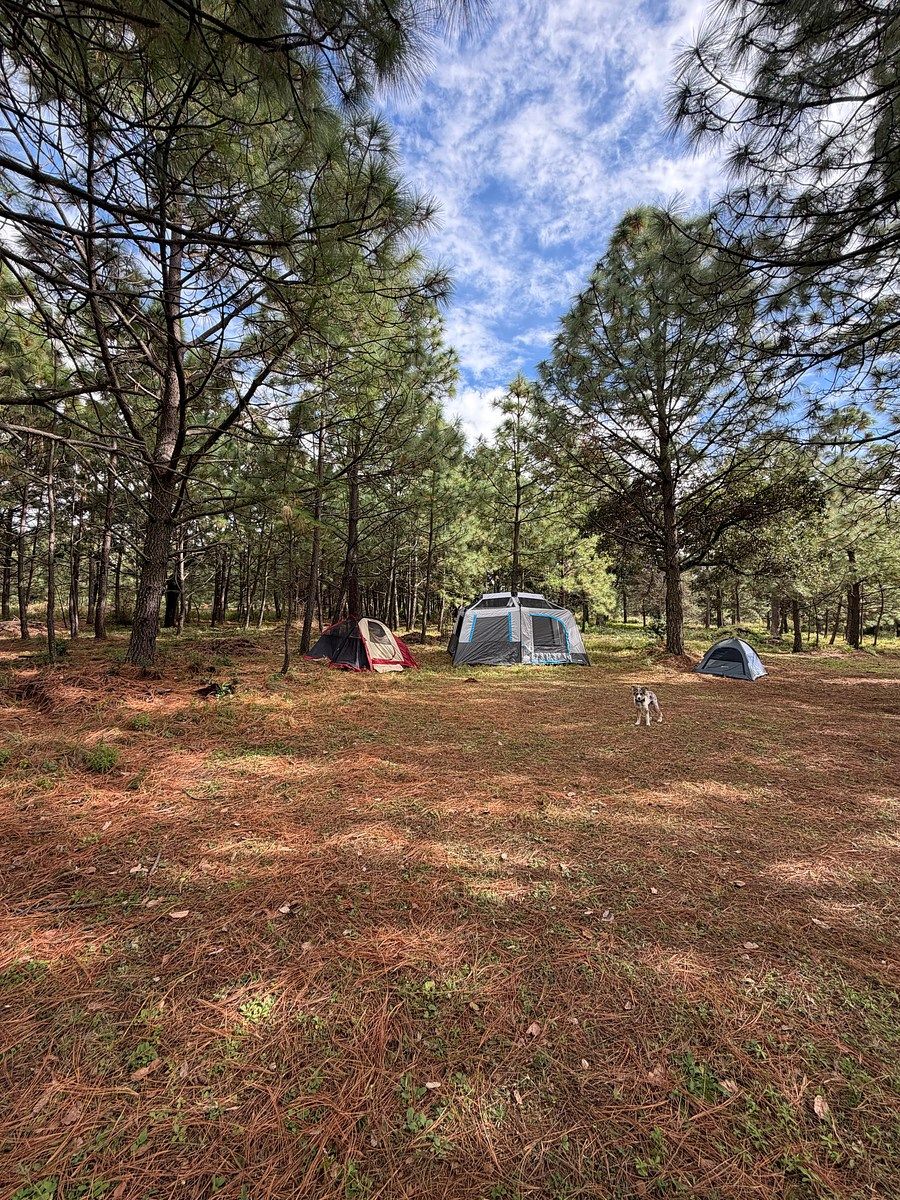 Camping en terreno, foto 13 de 18