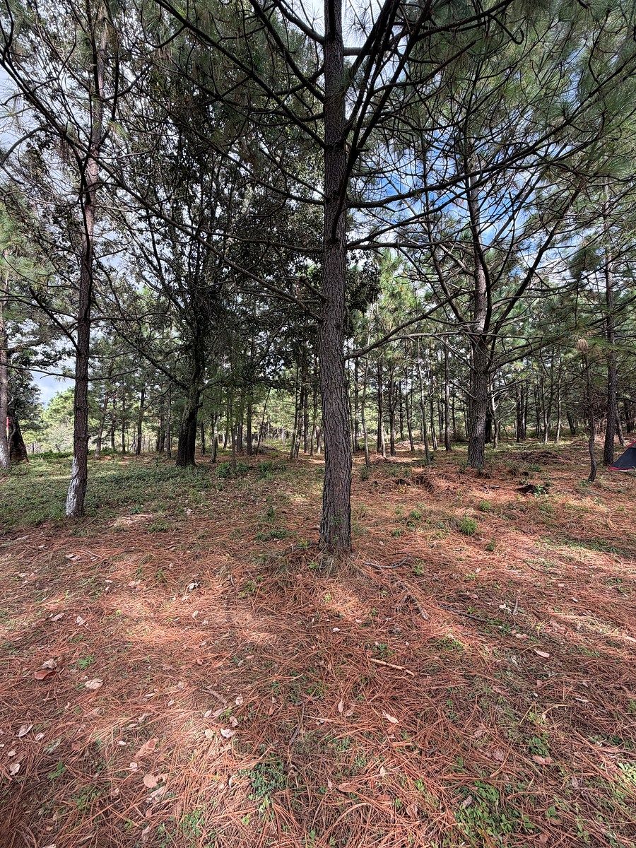 Lote em Los Espinos, Tapalpa, foto 15 de 18