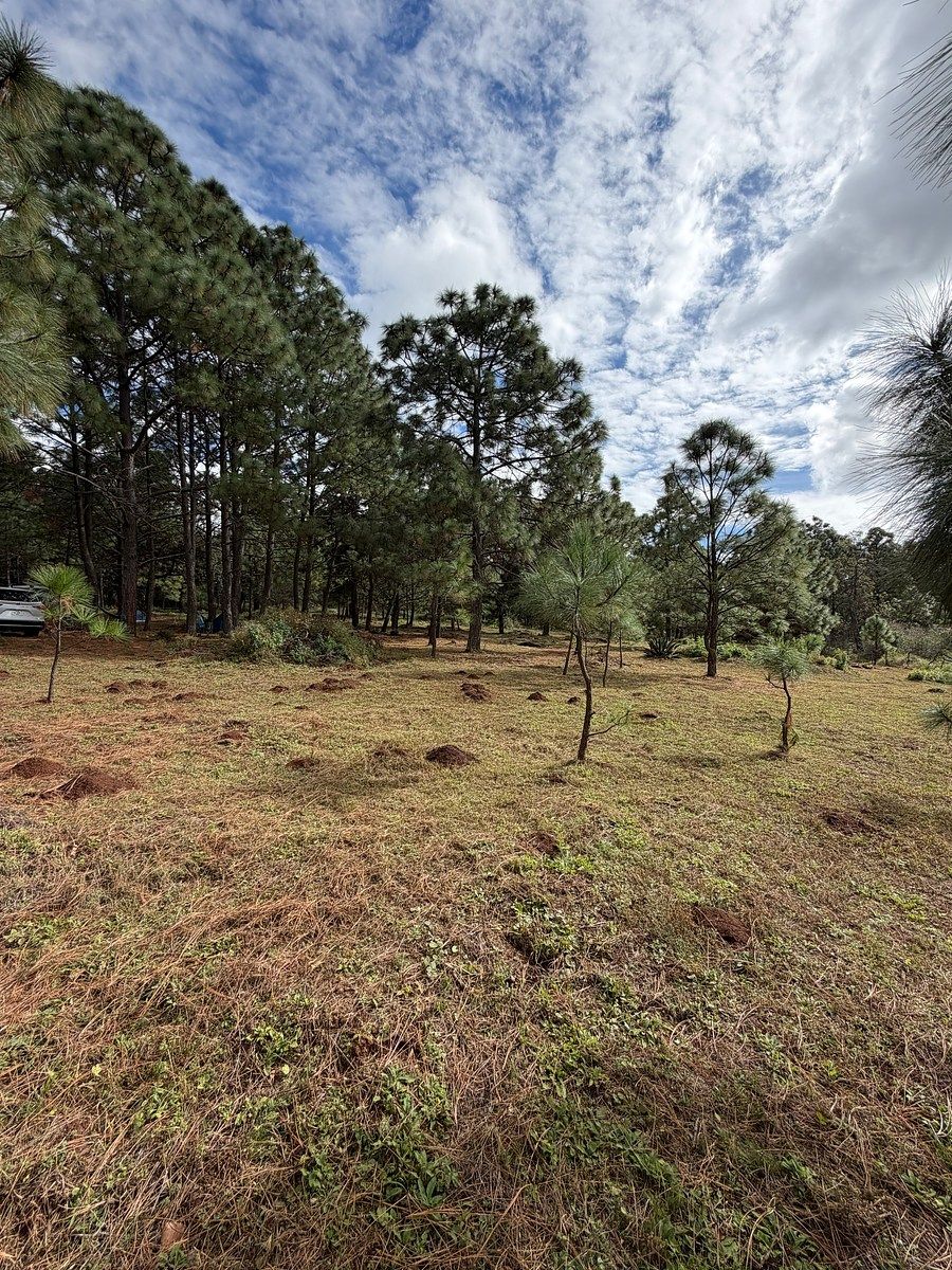 Lote em Los Espinos, Tapalpa, foto 18 de 18