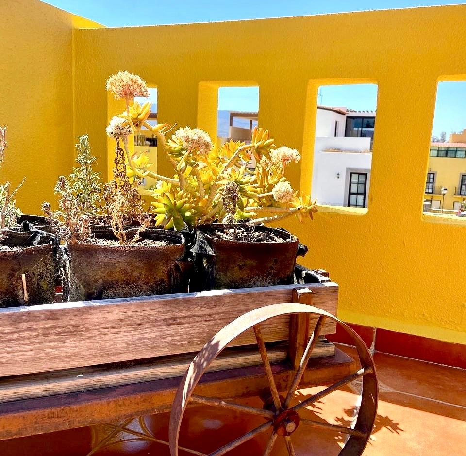 Apartamento em Zirándaro, San Miguel de Allende, foto 17 de 33