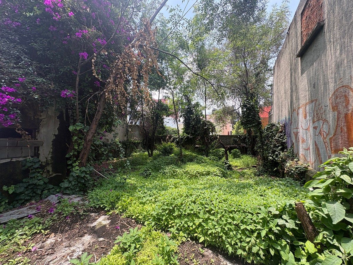 Terreno en Héroes de Padierna, La Magdalena Contreras, foto 8 de 8