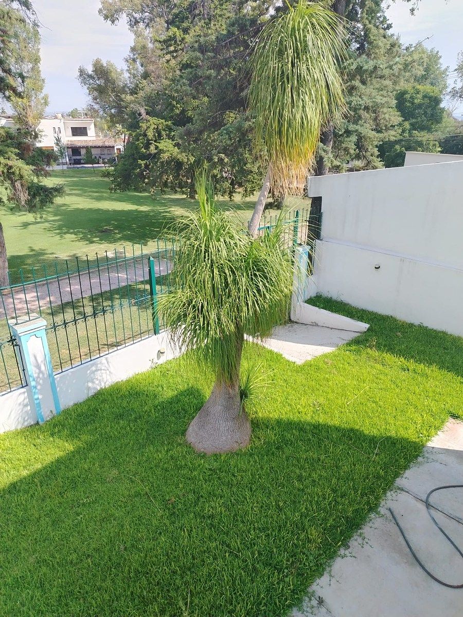 Casa em Villas de Irapuato, Irapuato, foto 17 de 34