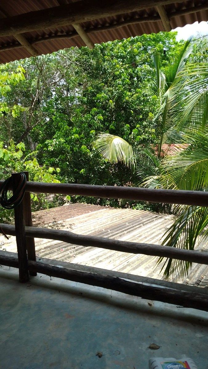 Casa en Macario Gómez, Tulum, foto 5 de 5