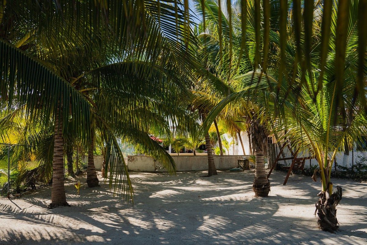 Casa en Telchac Puerto, Telchac Puerto, foto 19 de 22