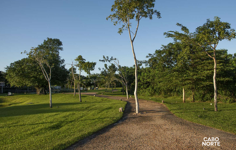 Terreno en Cabo Norte, Mérida, foto 5 de 8