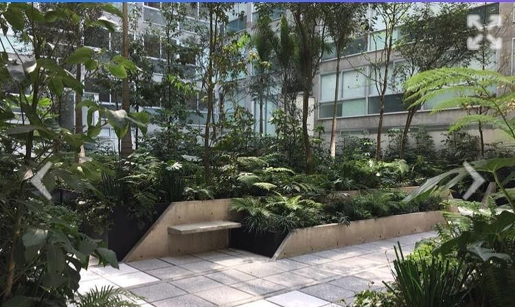 Departamento en Santa Fe, Álvaro Obregón, foto 8 de 19