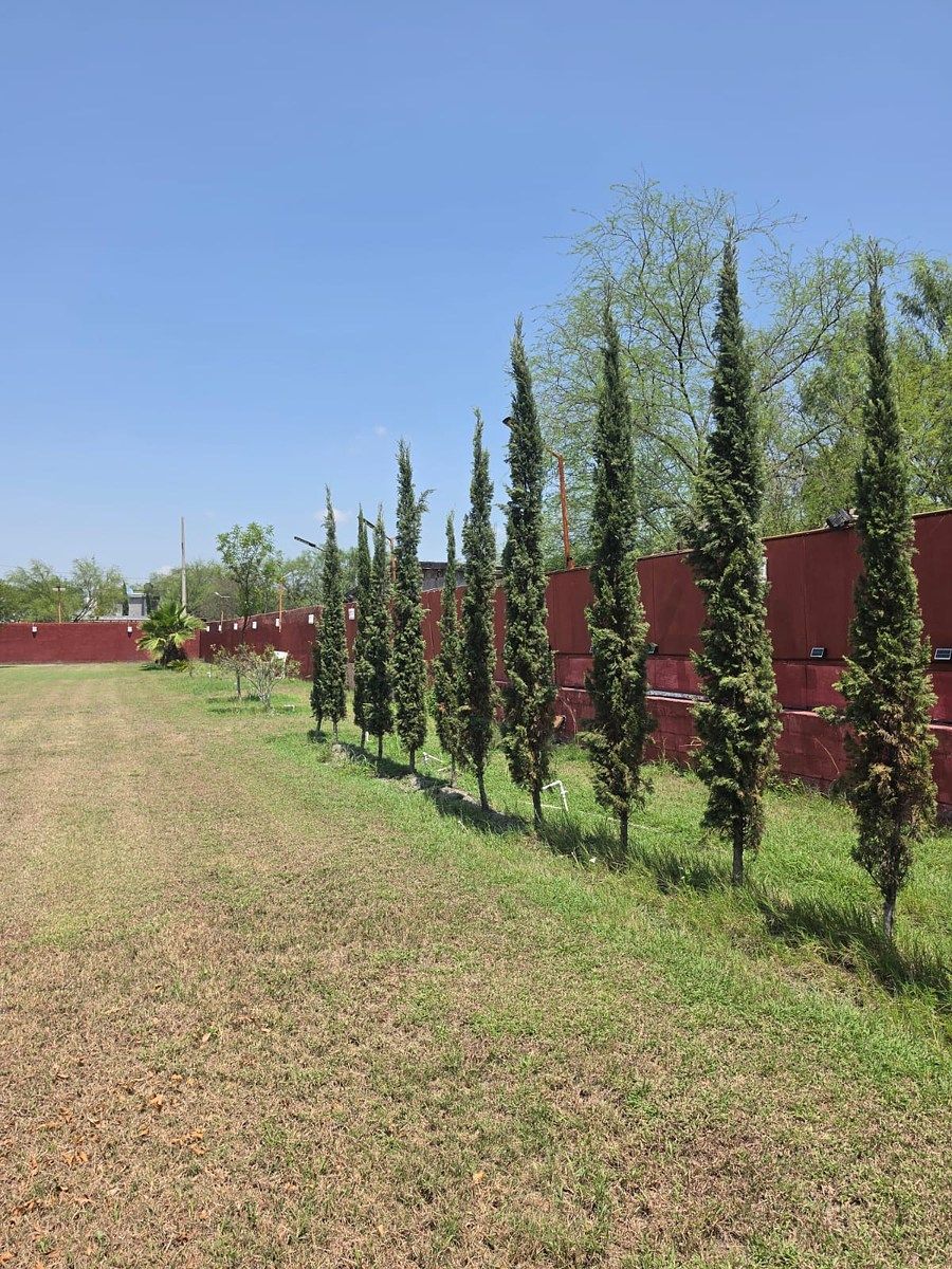 Lot in Jesús María, Pesquería, photo 4 of 5