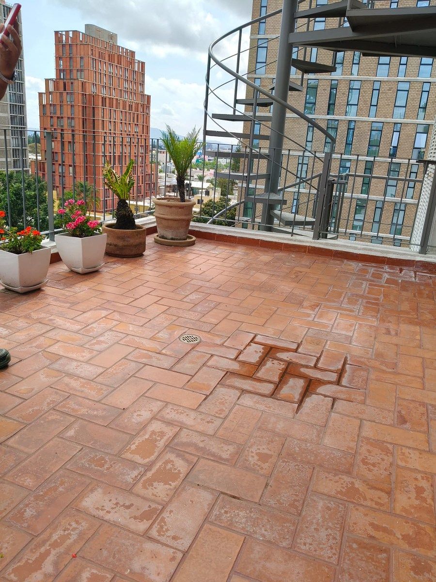 TERRAZA, foto 4 de 13
