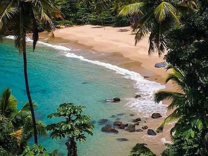 Apartamento Los Naranjos Samaná / PRIMERA LINEA DE PLAYA, foto 1 de 11