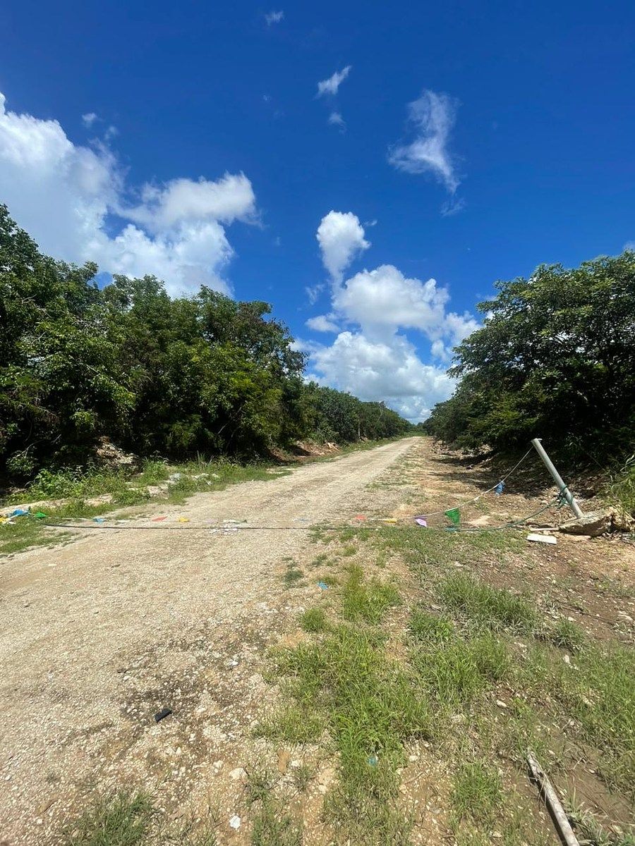 Lote comercial em San Ángel, Mérida, foto 7 de 12