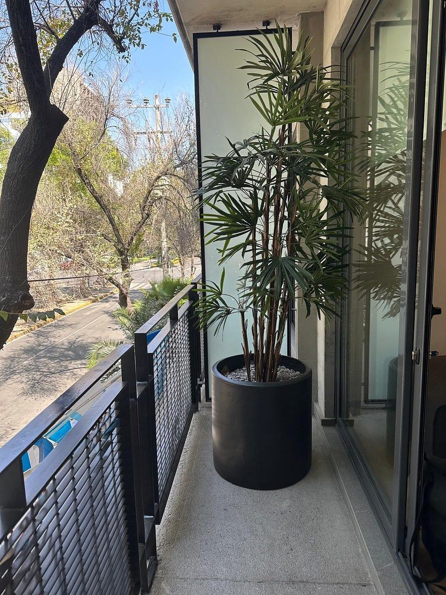Departamento en Roma Norte, Cuauhtémoc, foto 31 de 32