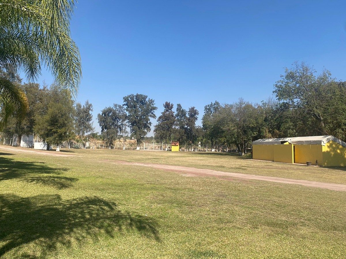 Lote em Zapotlanejo Centro, Zapotlanejo, foto 3 de 18