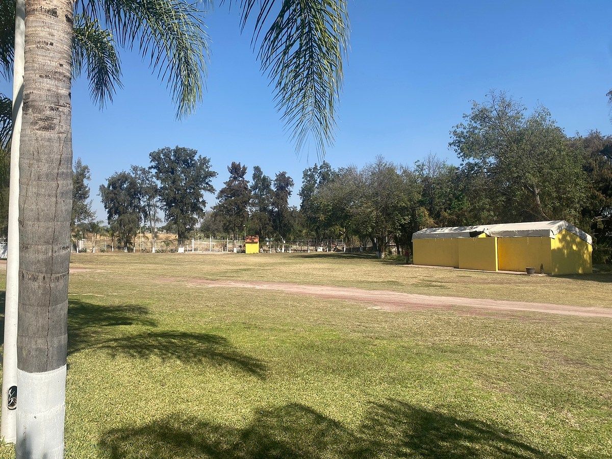 Lote em Zapotlanejo Centro, Zapotlanejo, foto 4 de 18