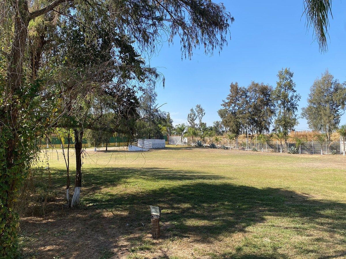 Lote em Zapotlanejo Centro, Zapotlanejo, foto 17 de 18