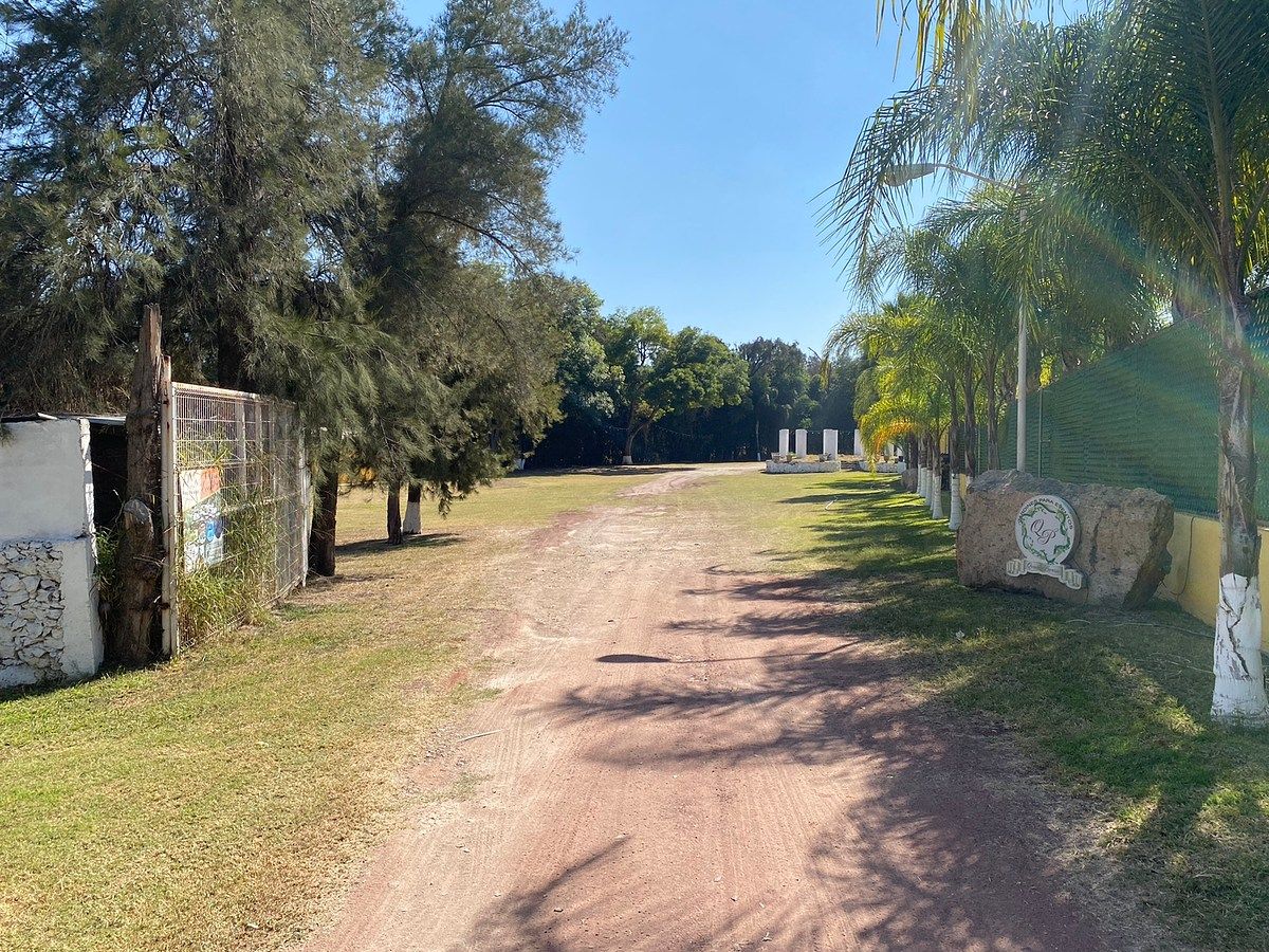 Lote em Zapotlanejo Centro, Zapotlanejo, foto 18 de 18
