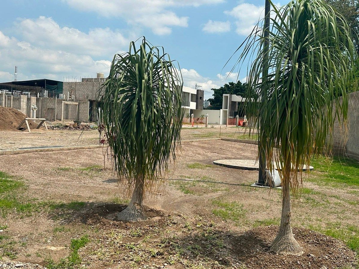 Terreno en Santa María Tequepexpan, Tlaquepaque, foto 5 de 8
