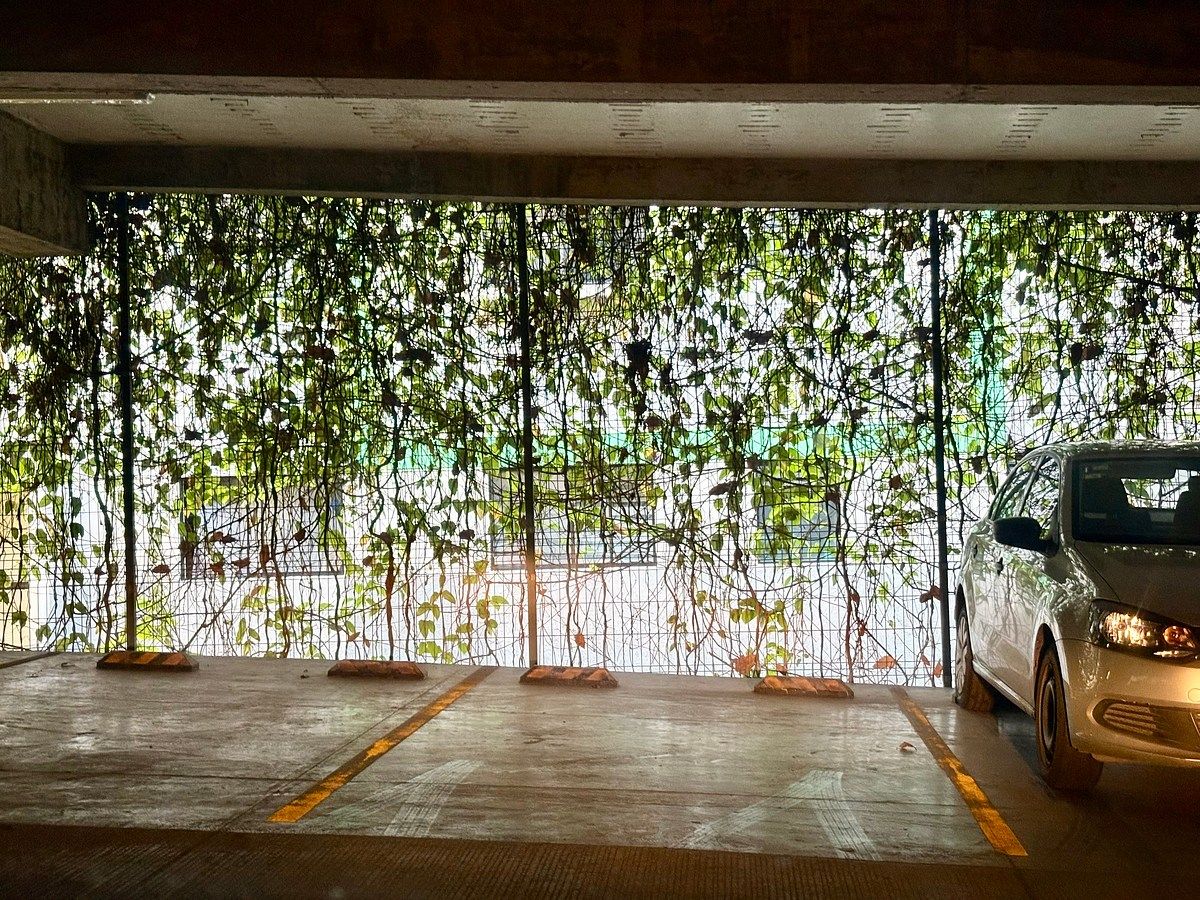 Apartamento em San Carlos, Guadalajara, foto 20 de 23