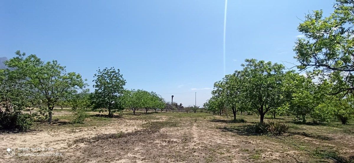 Terreno en Icamole, García, foto 3 de 12