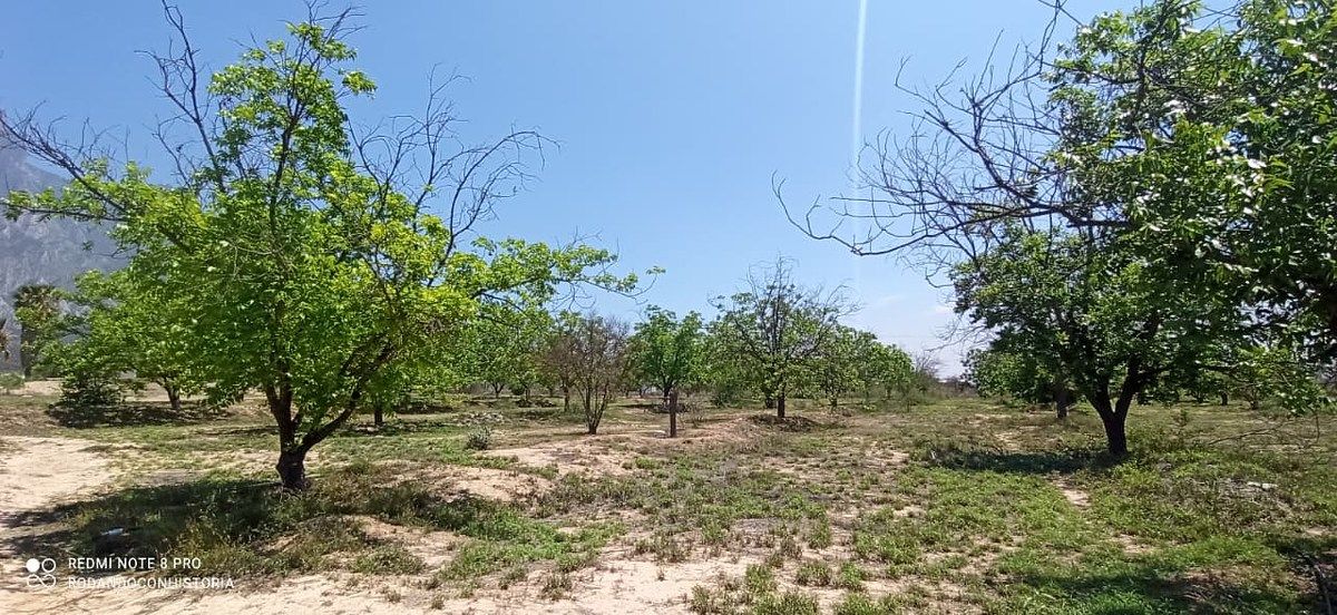 TERRENO EN VENTA ICAMOLE, foto 1 de 12