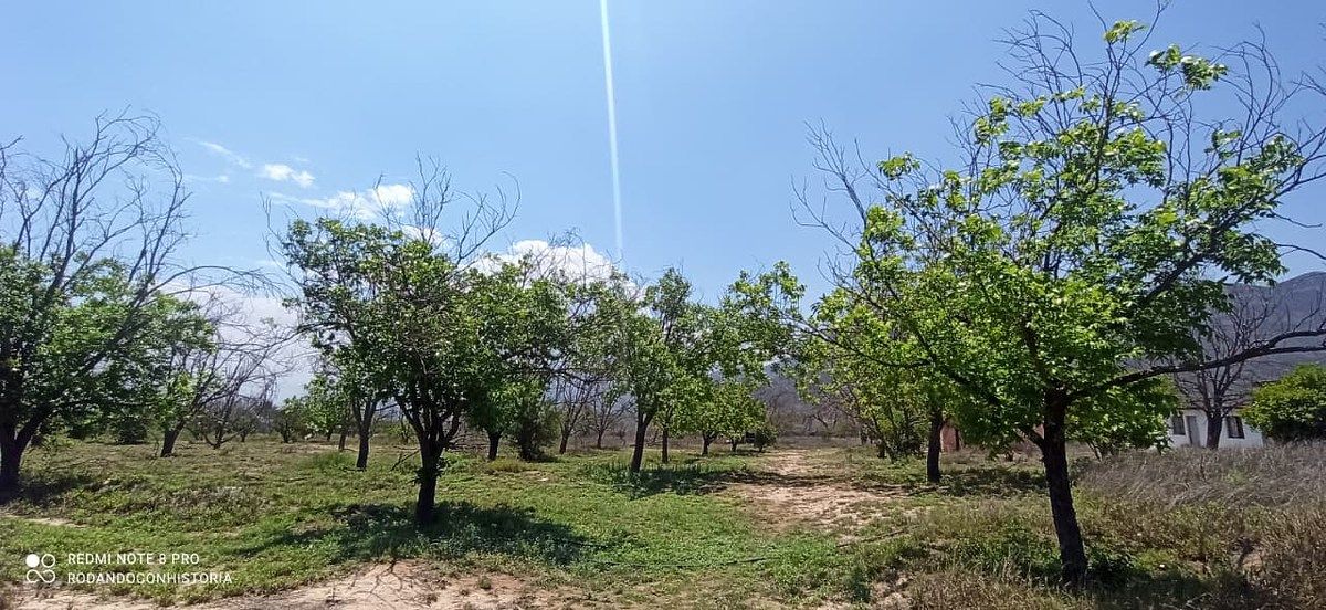 Terreno en Icamole, García, foto 4 de 12
