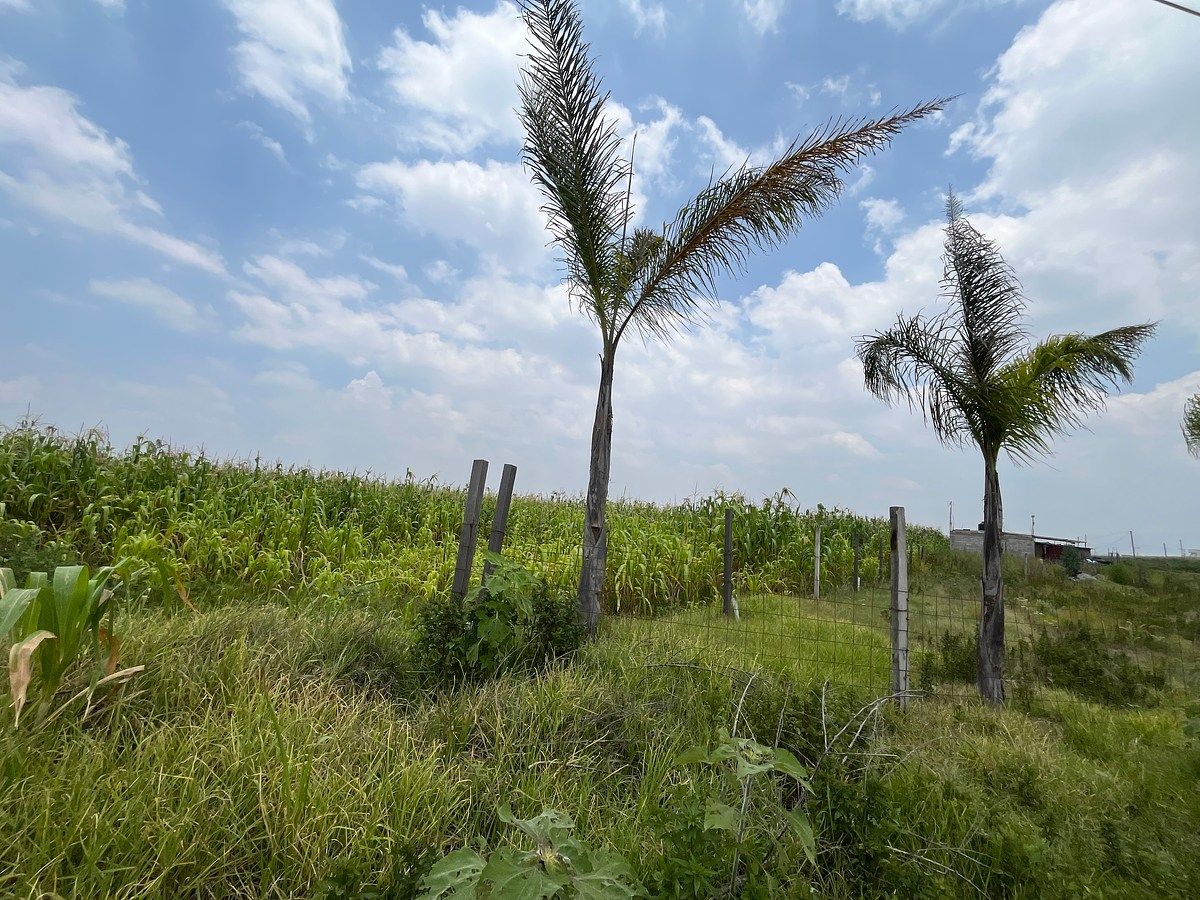 Terreno en San Pablo Atlazalpan, Chalco, foto 2 de 9