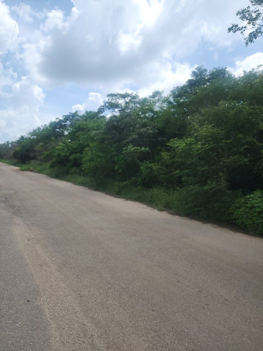 Lote em Conkal, Conkal, foto 7 de 15