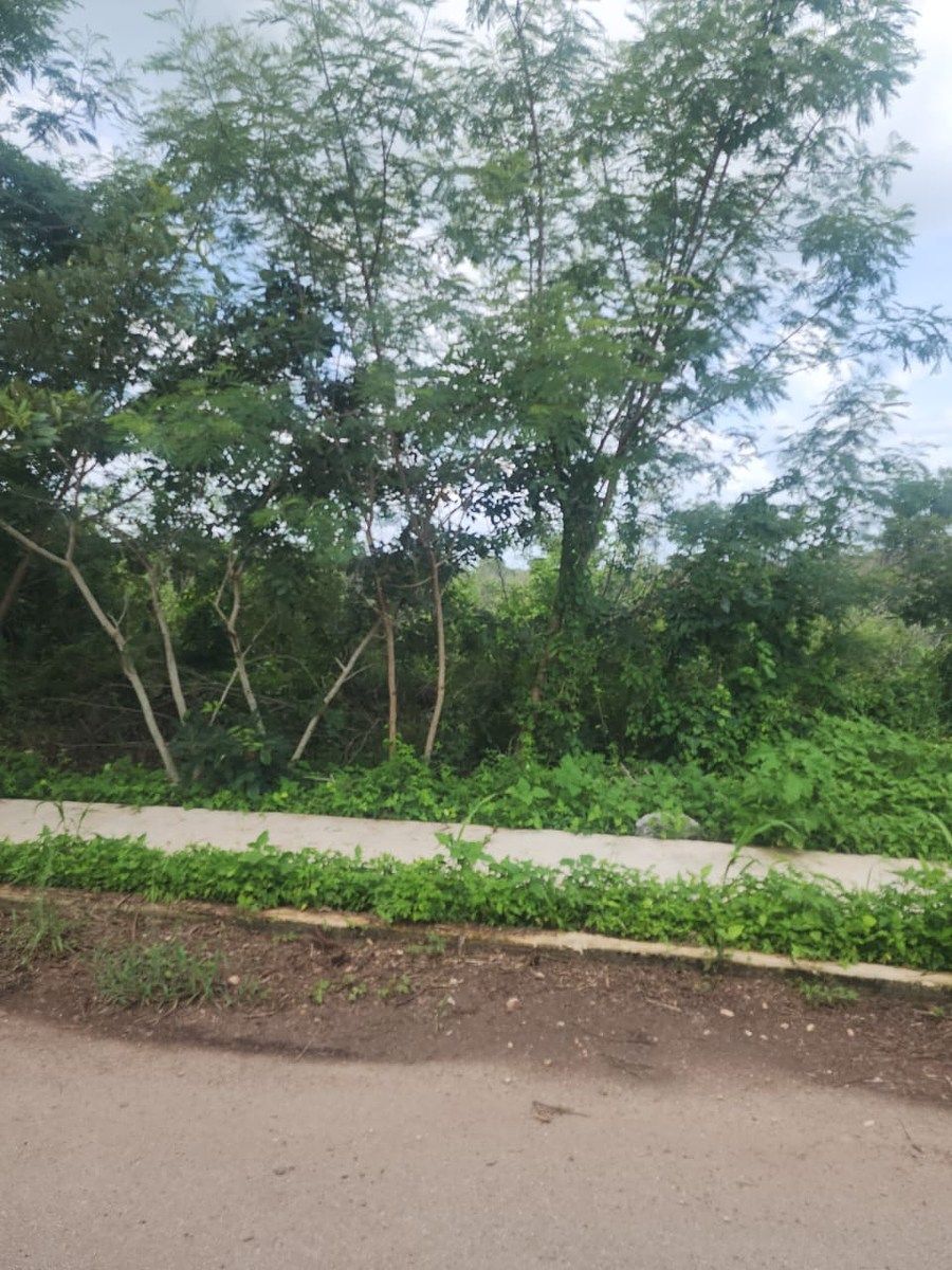 Lote em Conkal, Conkal, foto 9 de 15