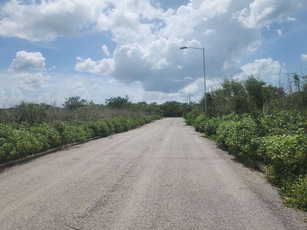 Lote em Conkal, Conkal, foto 10 de 15