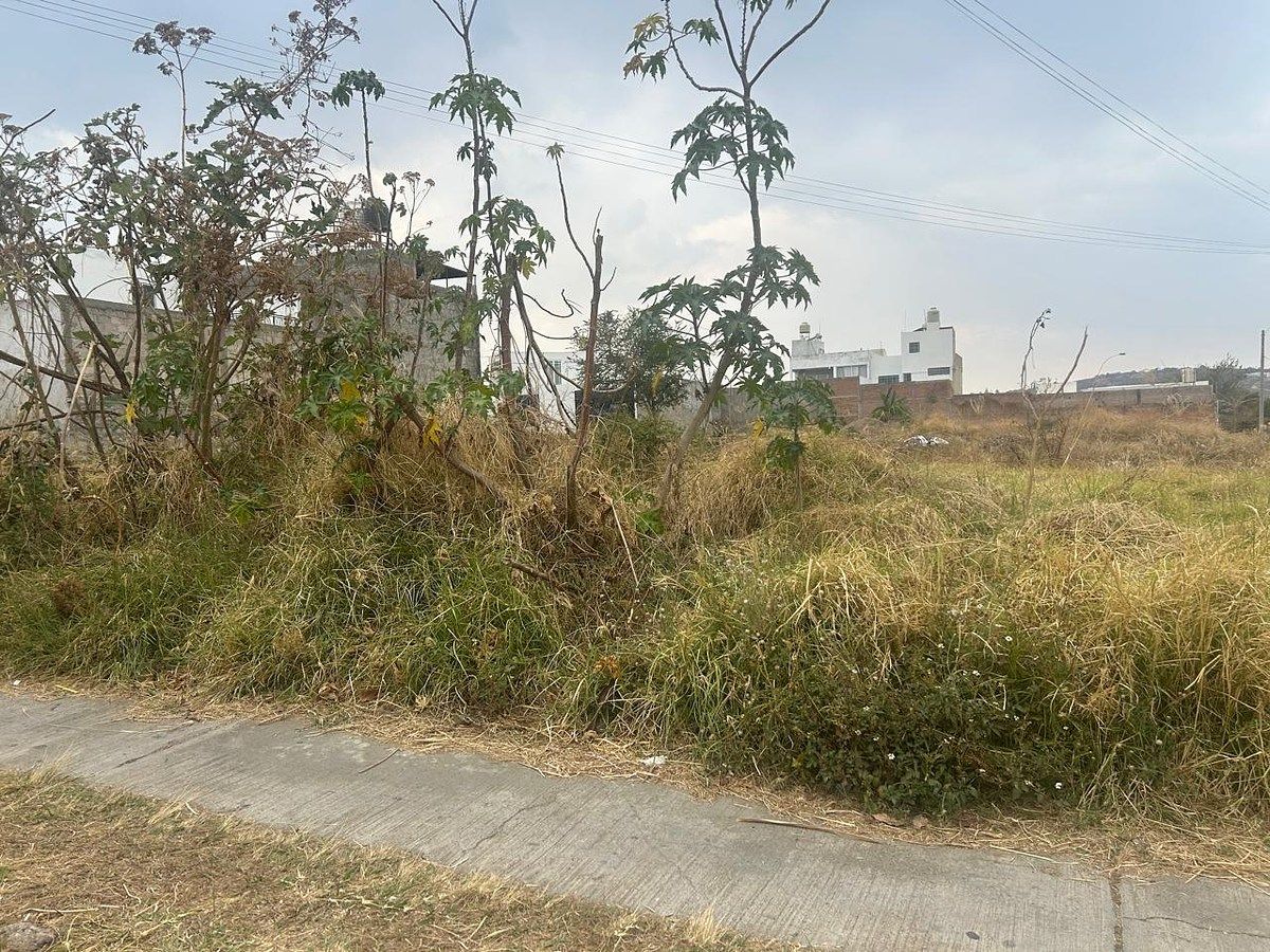 Lot in Paseo de la Cañada, Tonalá, photo 9 of 16