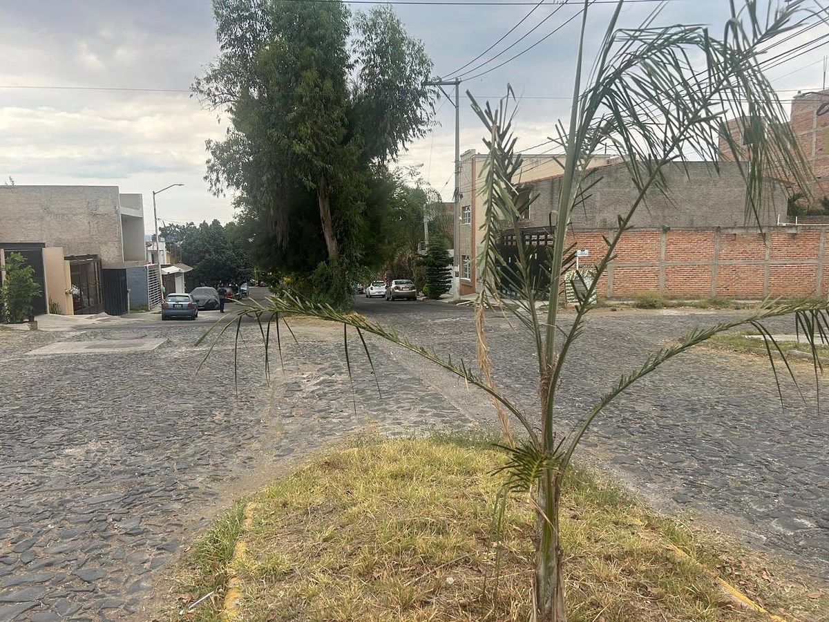 Lot in Paseo de la Cañada, Tonalá, photo 11 of 16