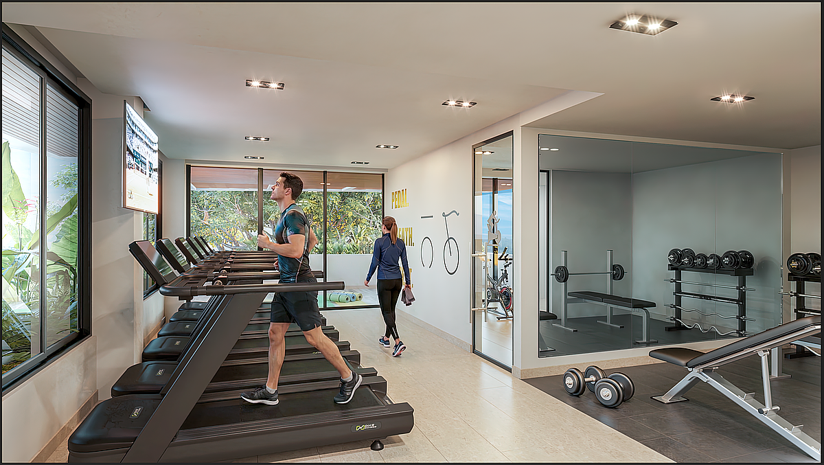 Gimnasio, foto 10 de 12
