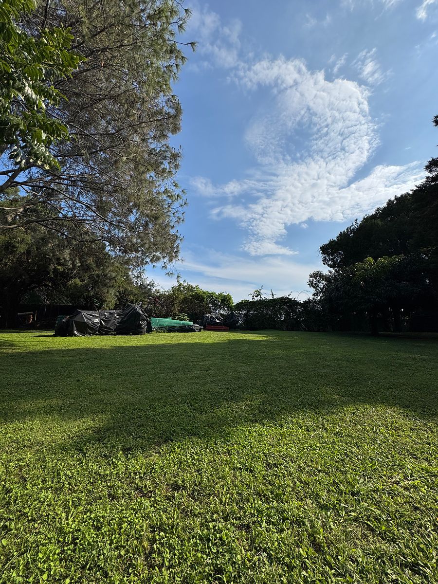 Lote em Ahuatepec, Cuernavaca, foto 3 de 10