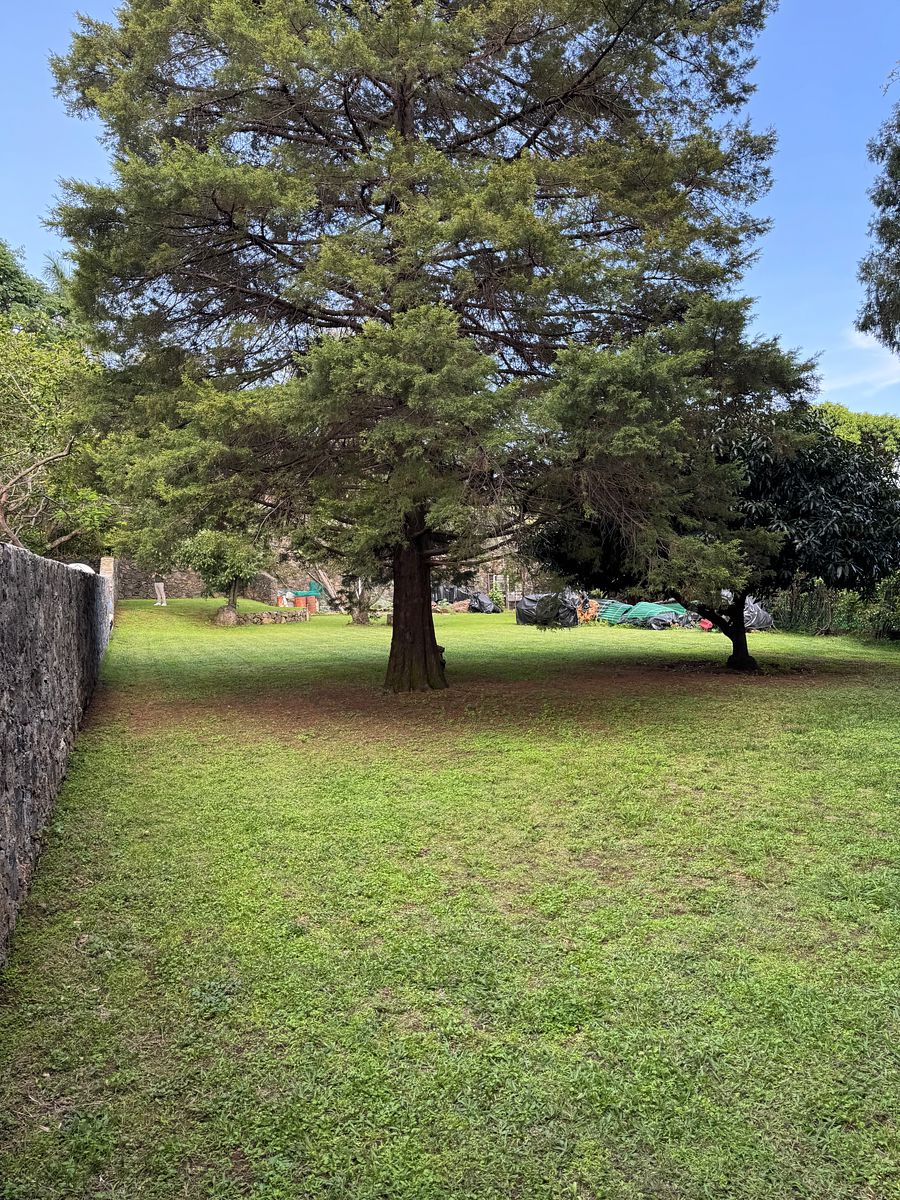 Lote em Ahuatepec, Cuernavaca, foto 5 de 10