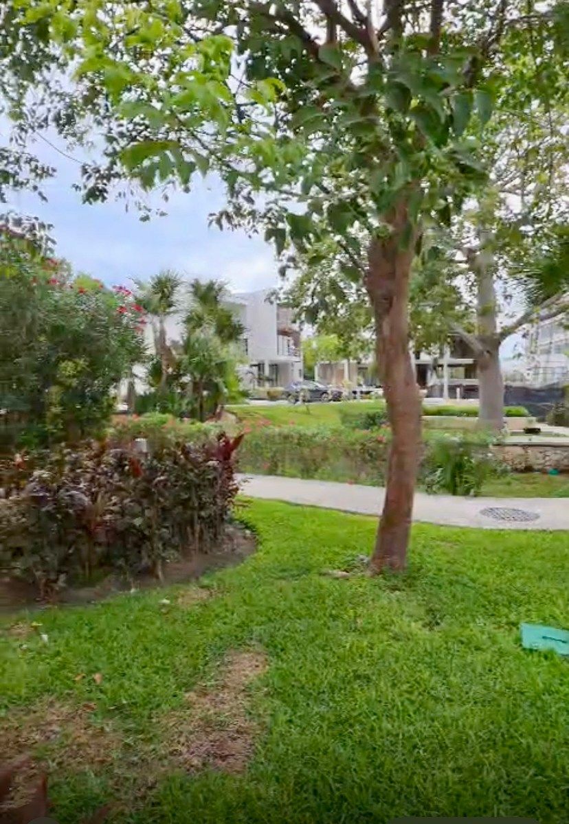 Lot in Puerto Cancún, Benito Juárez, photo 4 of 7