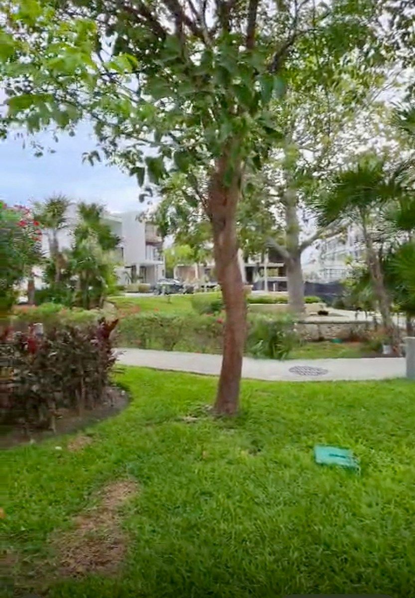 Lot in Puerto Cancún, Benito Juárez, photo 5 of 7