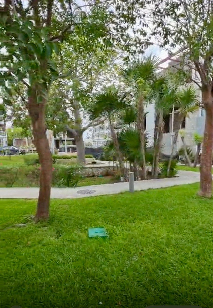 Lot in Puerto Cancún, Benito Juárez, photo 6 of 7