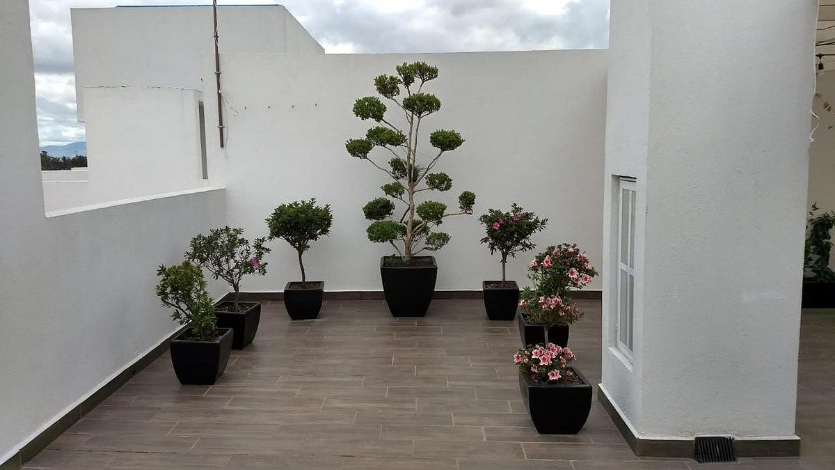 Apartamento em Agrícola Oriental, Iztacalco, foto 18 de 19