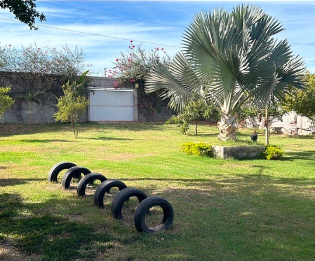 Country House in Los Mochis, Ahome, photo 7 of 8