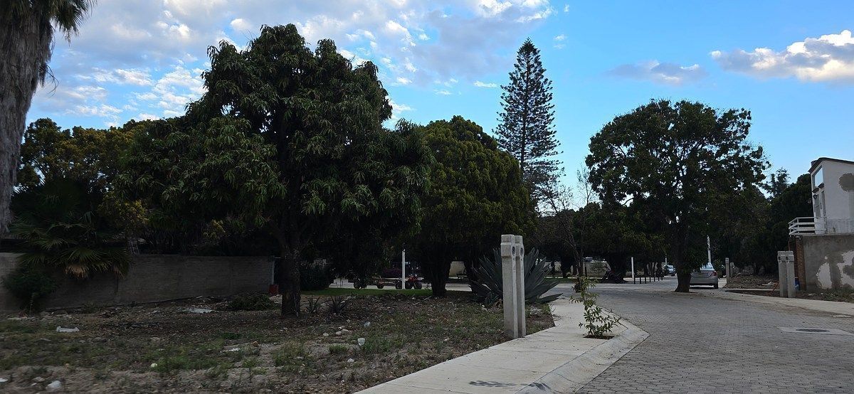 Terreno en Jocotepec Centro, Jocotepec, foto 5 de 10